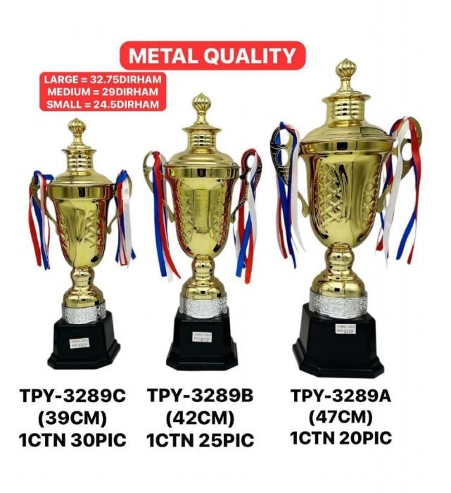 Metal Trophies TPY-JZ195808C (28CM)