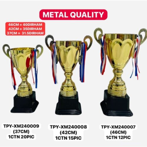 Metal Trophies TPY-XM240009 (37CM)