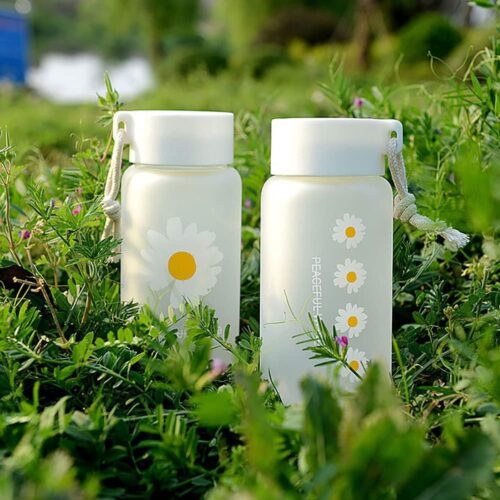 500ml Small Daisy Transparent Plastic Water Bottles BPA Free Creative Frosted Water Bottle - Tradedubai.ae Wholesale B2B Market