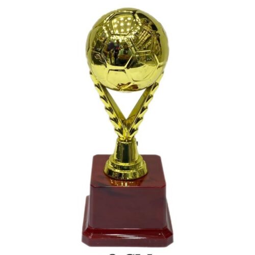 Lordex Football trophy honor prize trophy