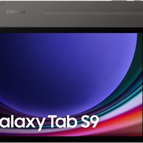 Samsung Galaxy Tab S9, 12GB RAM, 256GB Storage, Gray