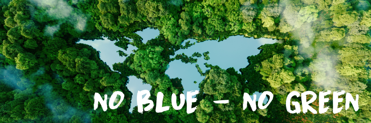 Aerial forest canopy surrounding a pale blue lake in the center with the bold white slogan 'NO BLUE - NO GREEN' across the bottom.